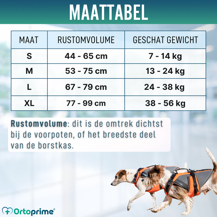Complete Revalidatieharnas voor Honden | 3D-Materiaal