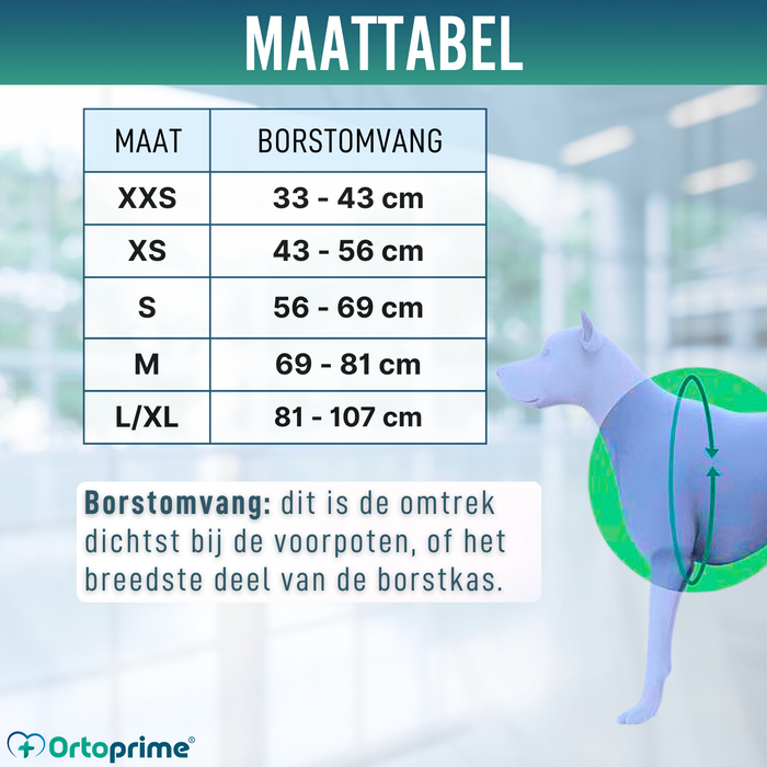 Multifunctioneel Harnas voor Honden | Stevige Structuur