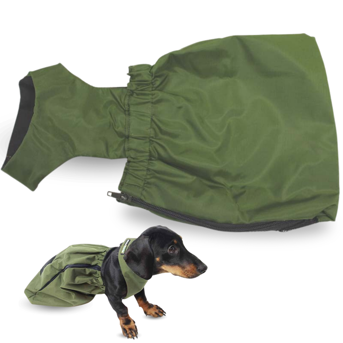 Nylon Jas voor Honden met Beperkte Mobiliteit | 6 Maten