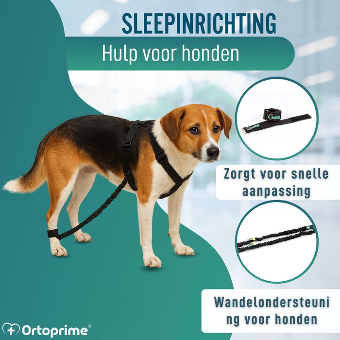 Apparaat voor Hondenataxie | Hulp voor Honden