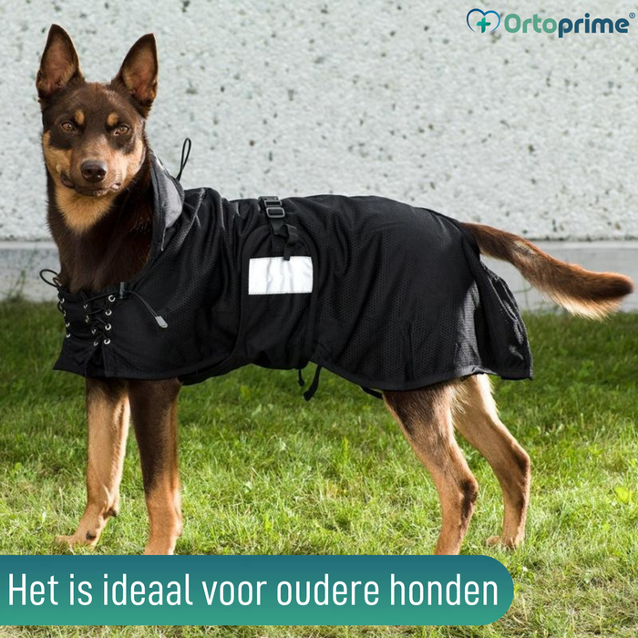 Therapeutisch Deken voor Honden met Back on Track | 21 Maten