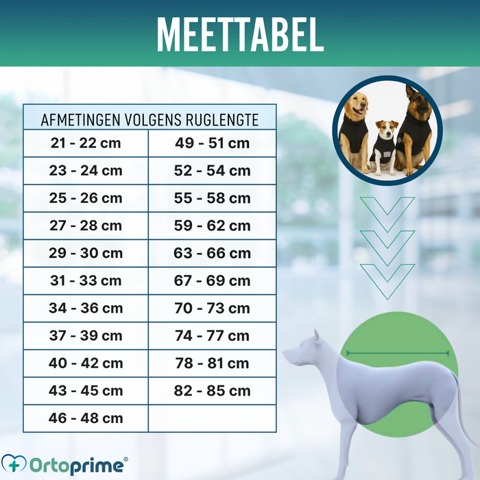 Therapeutisch Deken voor Honden met Back on Track | 21 Maten