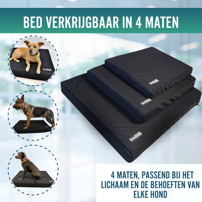 Visco-elastisch Hondenmatras met Waterdichte Hoes | 4 Maten