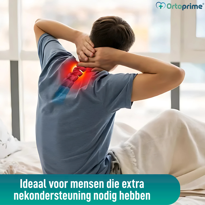 Orthopedisch Harnas met Hoofdsteun voor Transferkraan