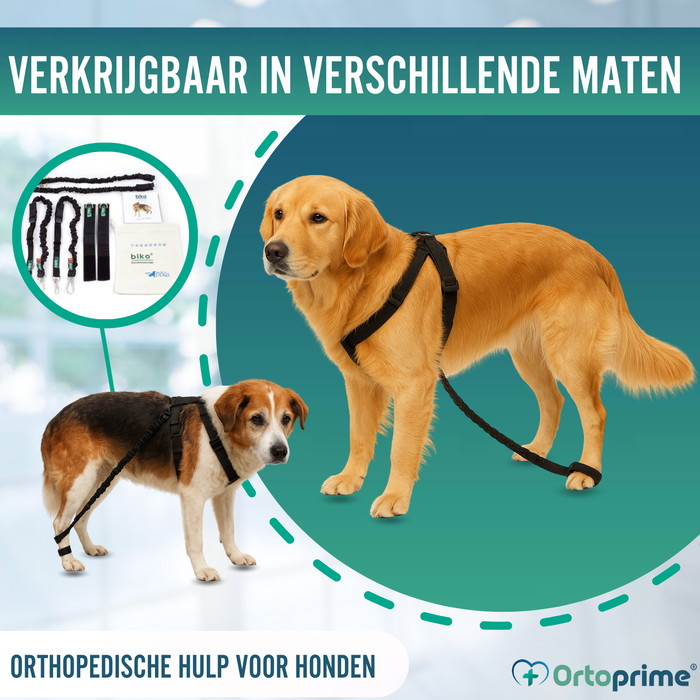 Apparaat voor Hondenataxie | Hulp voor Honden