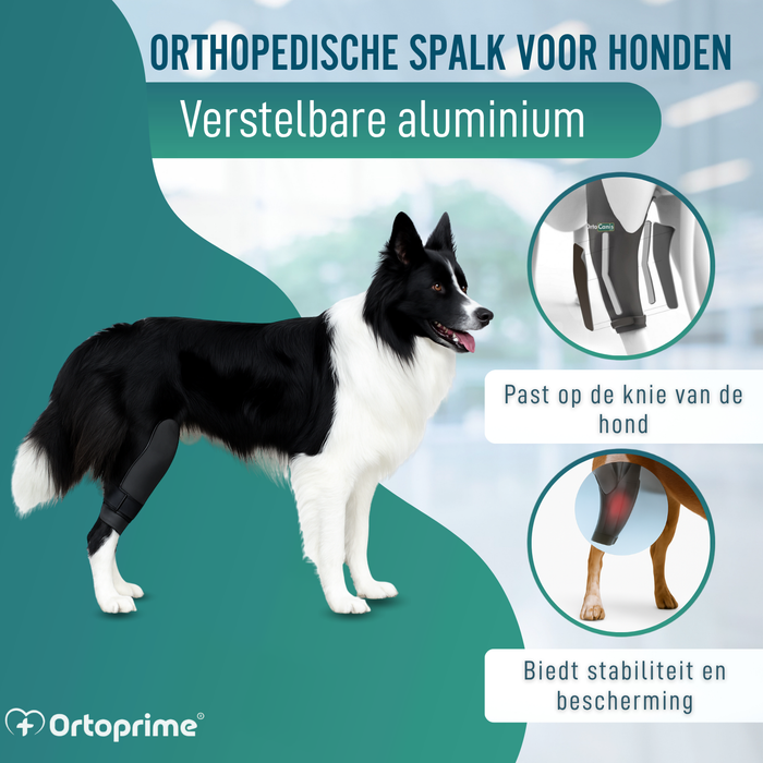 Knieimmobilisator voor Honden van Neopreen | 9 Maten