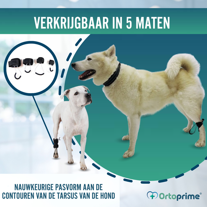 Proprioceptieve corrector voor honden met knuckling | 5 maten