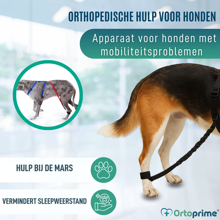 Apparaat voor Hondenataxie | Hulp voor Honden