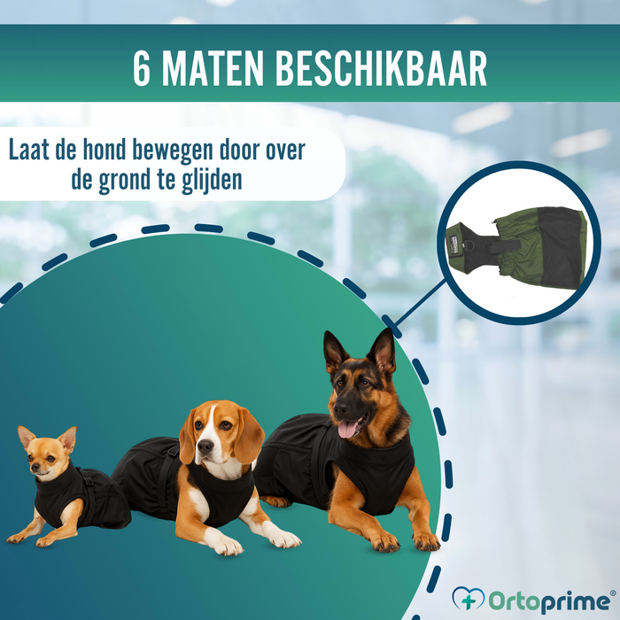 Nylon Jas voor Honden met Beperkte Mobiliteit | 6 Maten
