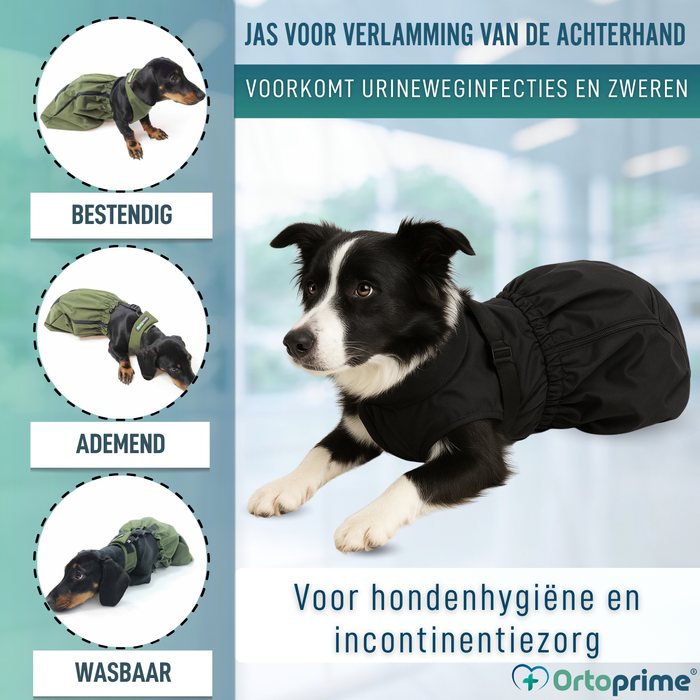 Nylon Jas voor Honden met Beperkte Mobiliteit | 6 Maten