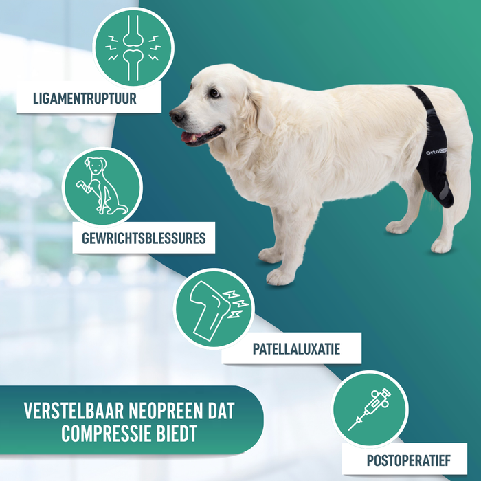 Knieimmobilisator voor Honden van Neopreen | 9 Maten