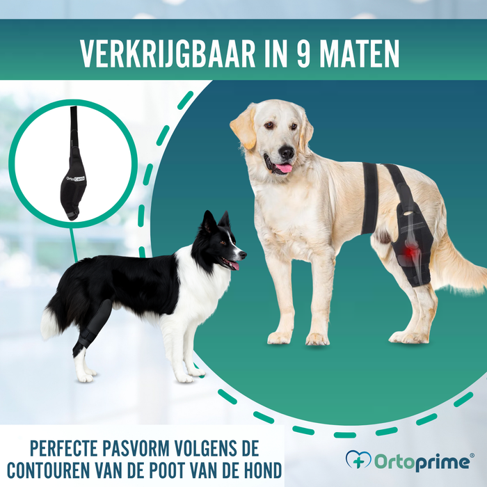 Knieimmobilisator voor Honden van Neopreen | 9 Maten