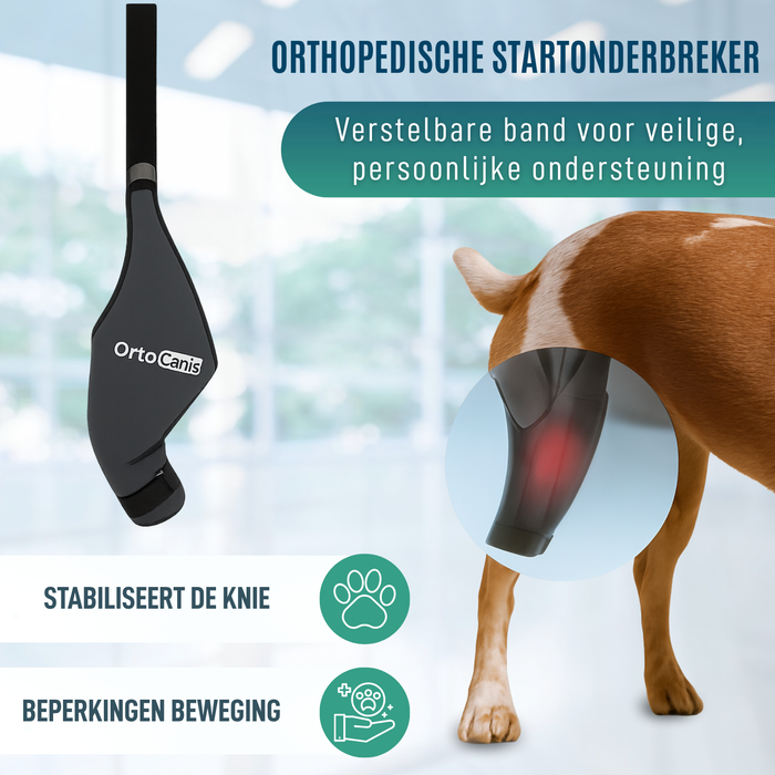 Knieimmobilisator voor Honden van Neopreen | 9 Maten