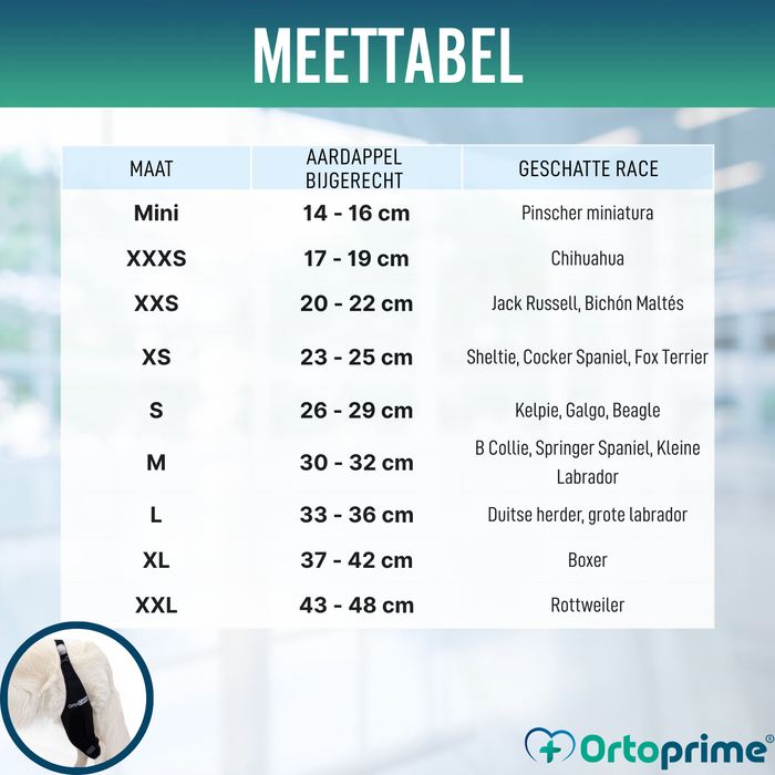 Knieimmobilisator voor Honden van Neopreen | 9 Maten