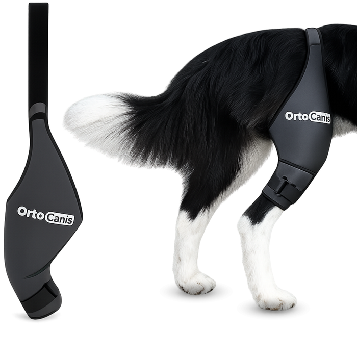 Knieimmobilisator voor Honden van Neopreen | 9 Maten