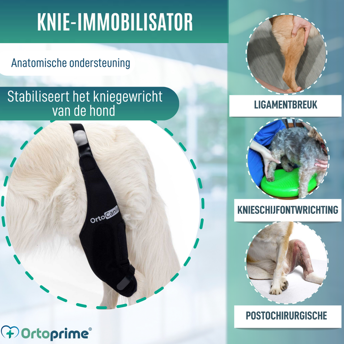 Knieimmobilisator voor Honden van Neopreen | 9 Maten