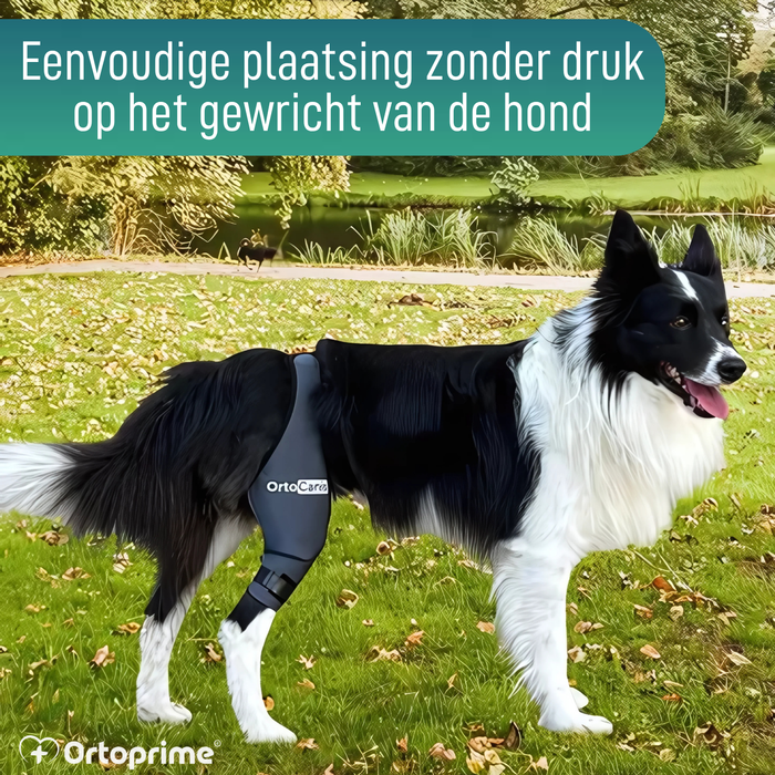 Knieimmobilisator voor Honden van Neopreen | 9 Maten