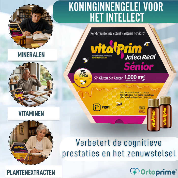 Koninginnengelei voor Intellect en Zenuwstelsel
