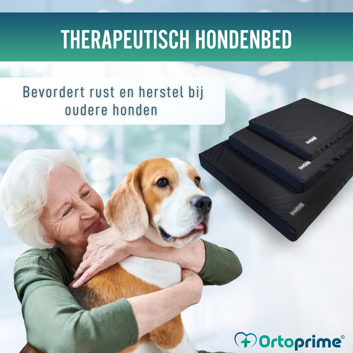 Visco-elastisch Hondenmatras met Waterdichte Hoes | 4 Maten