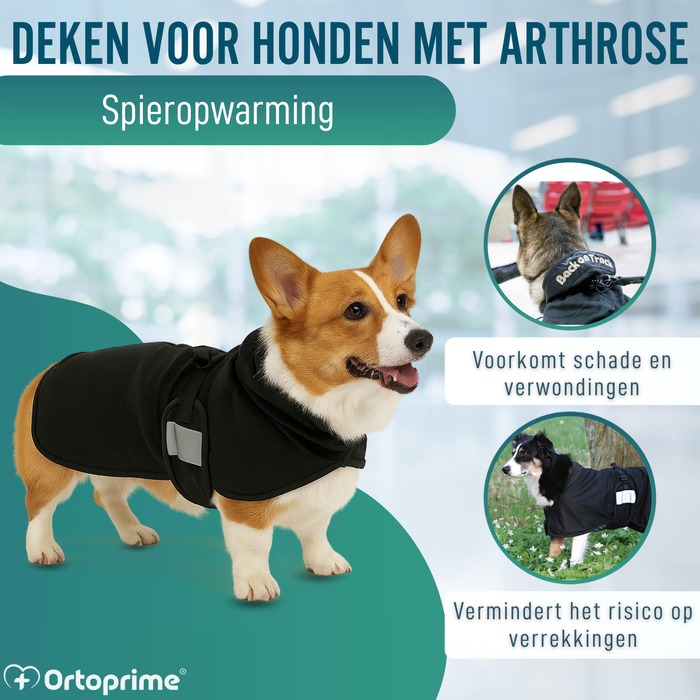 Therapeutisch Deken voor Honden met Back on Track | 21 Maten