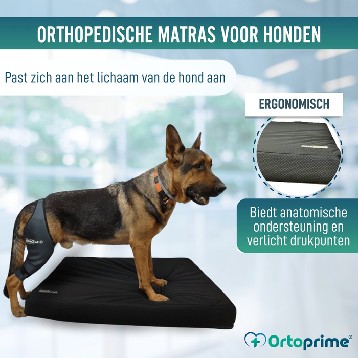 Visco-elastisch Hondenmatras met Waterdichte Hoes | 4 Maten