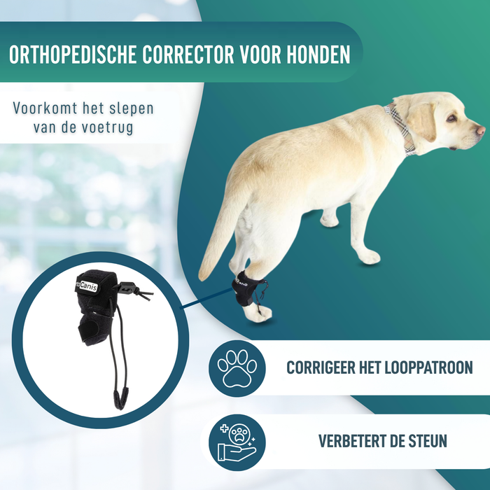 Proprioceptieve corrector voor honden met knuckling | 5 maten