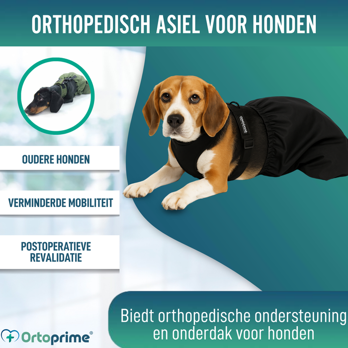 Nylon Jas voor Honden met Beperkte Mobiliteit | 6 Maten