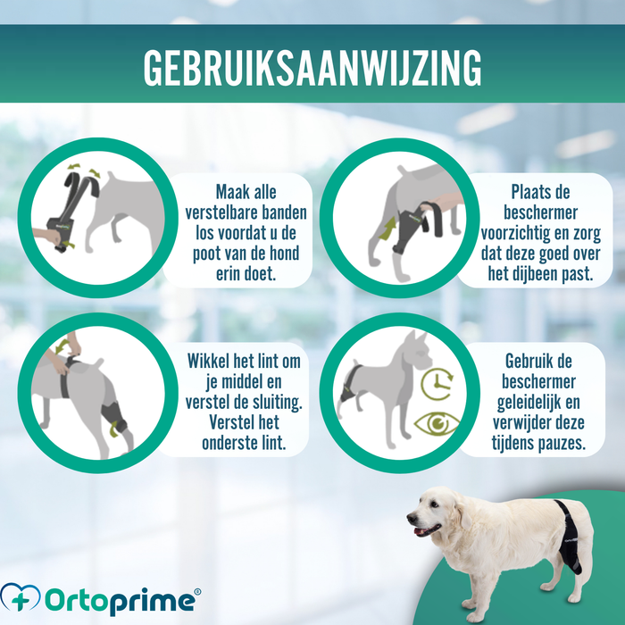 Knieimmobilisator voor Honden van Neopreen | 9 Maten