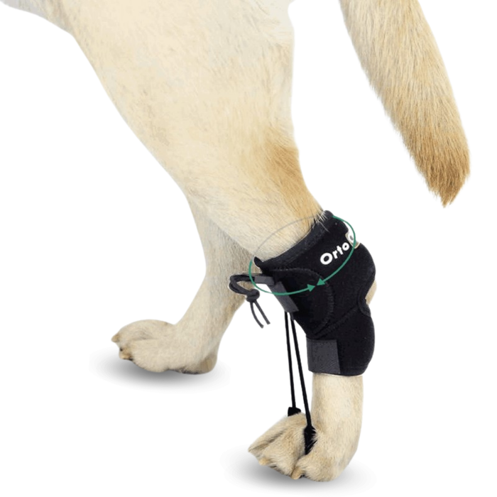 Proprioceptieve corrector voor honden met knuckling | 5 maten