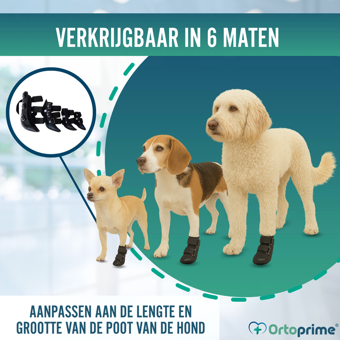 Korte Botspalk voor Honden met Knuckling | 5 Maten
