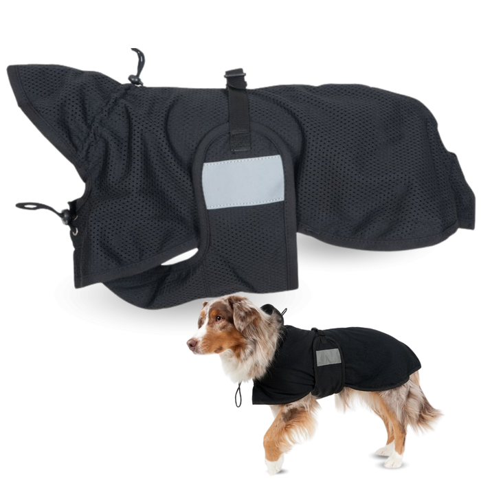 Stijlvolle traktatietas Prestige Nero (zwart) voor honden van William