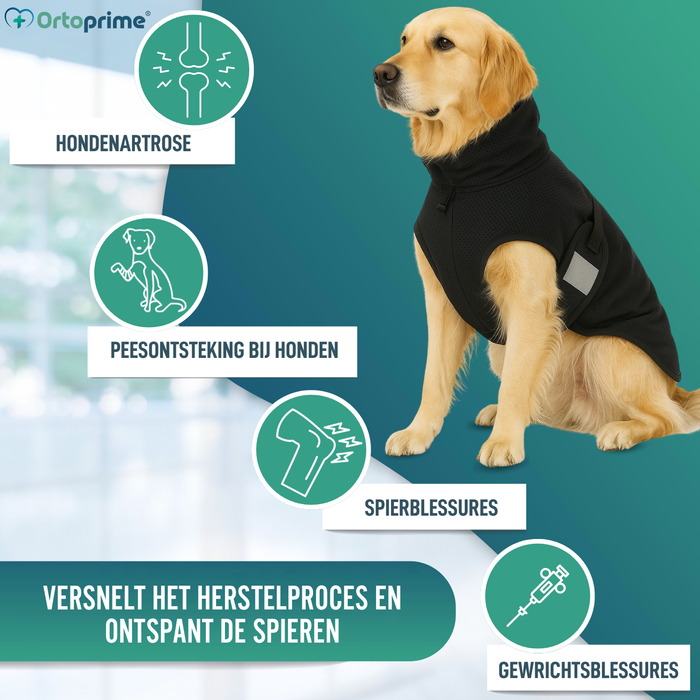 Therapeutisch Deken voor Honden met Back on Track | 21 Maten