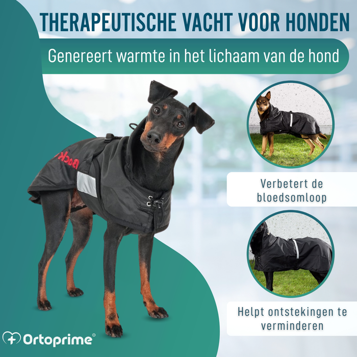 Waterdichte Thermojas voor Honden | Back on Track