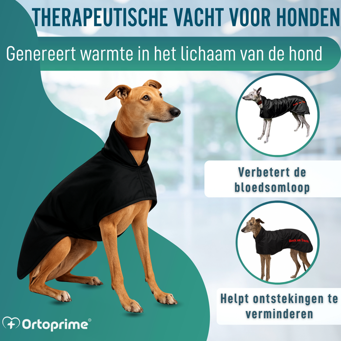 Waterdichte Thermische Jas voor Galgo | 2 Maten