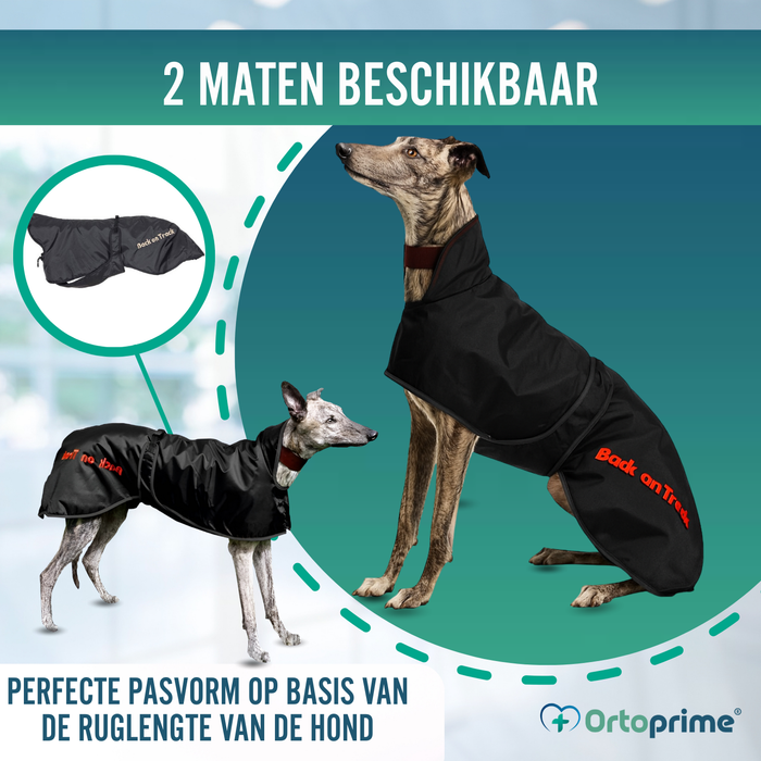 Waterdichte Thermische Jas voor Galgo | 2 Maten