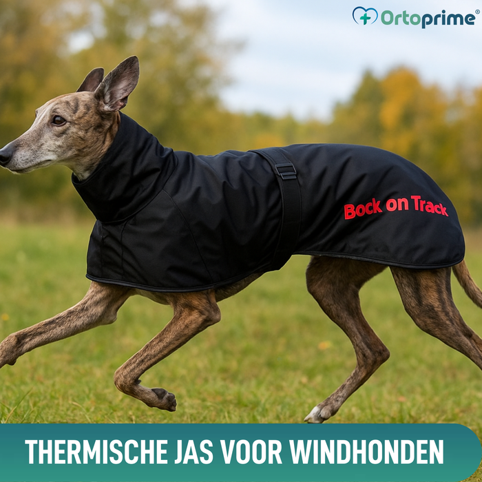 Waterdichte Thermische Jas voor Galgo | 2 Maten
