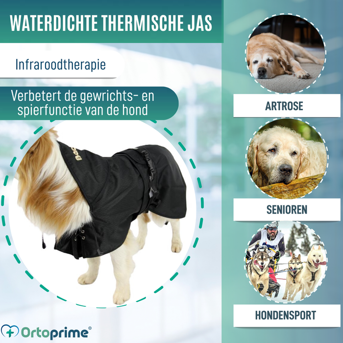 Waterdichte Thermojas voor Honden | Back on Track