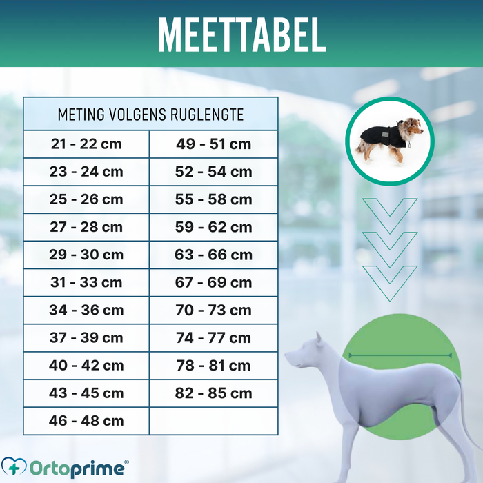 Waterdichte Thermojas voor Honden | Back on Track