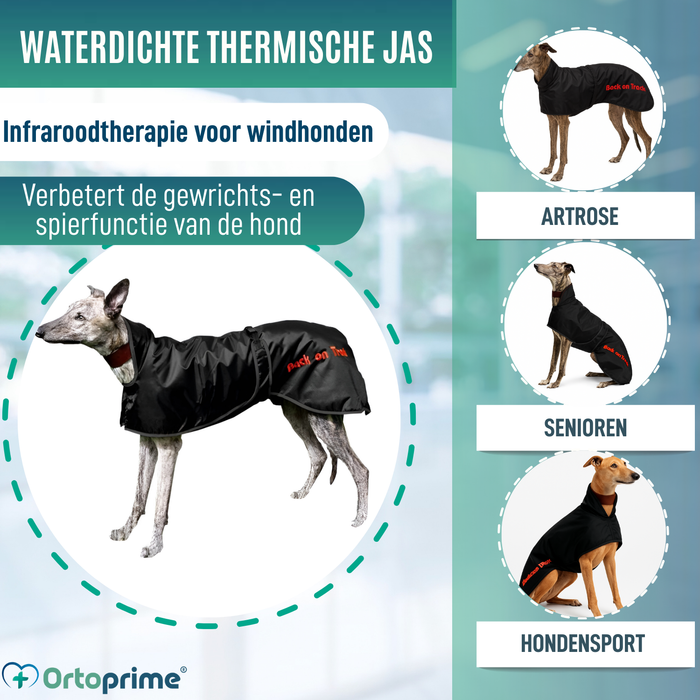 Waterdichte Thermische Jas voor Galgo | 2 Maten