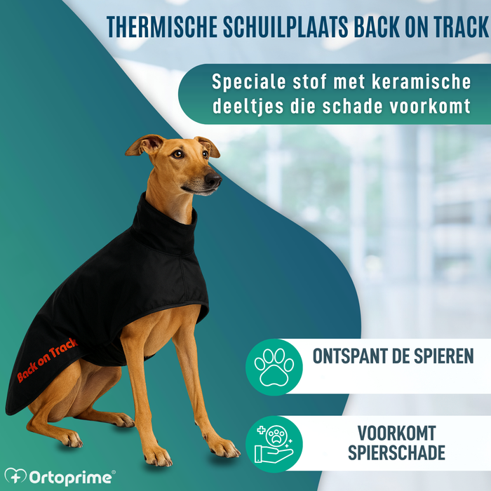 Waterdichte Thermische Jas voor Galgo | 2 Maten