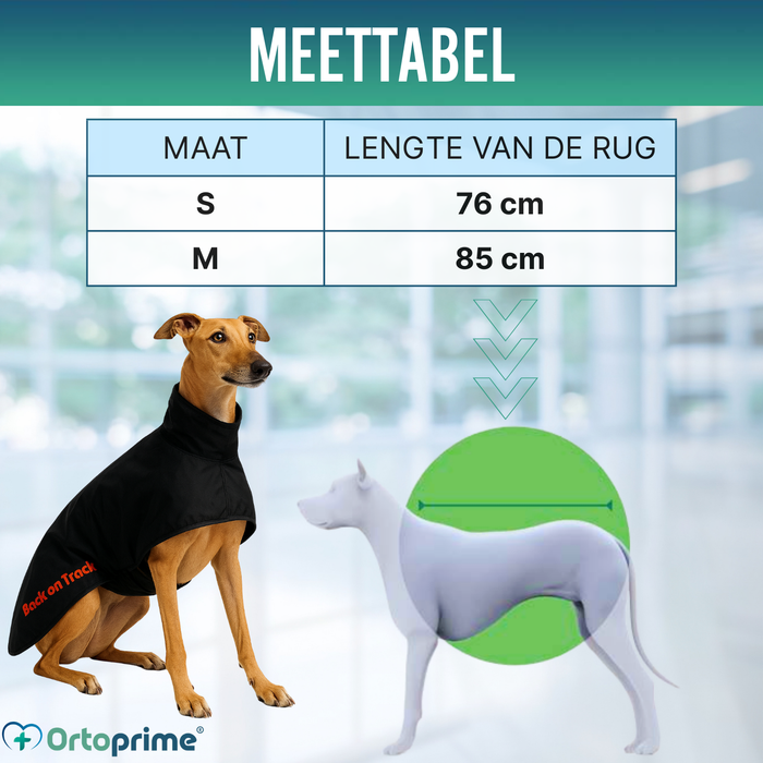 Waterdichte Thermische Jas voor Galgo | 2 Maten