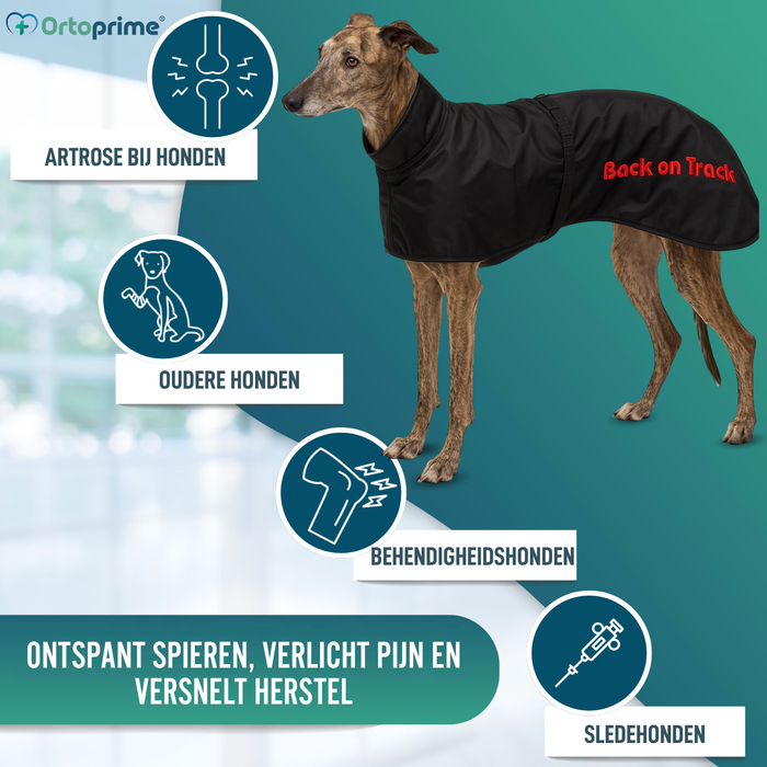 Waterdichte Thermische Jas voor Galgo | 2 Maten