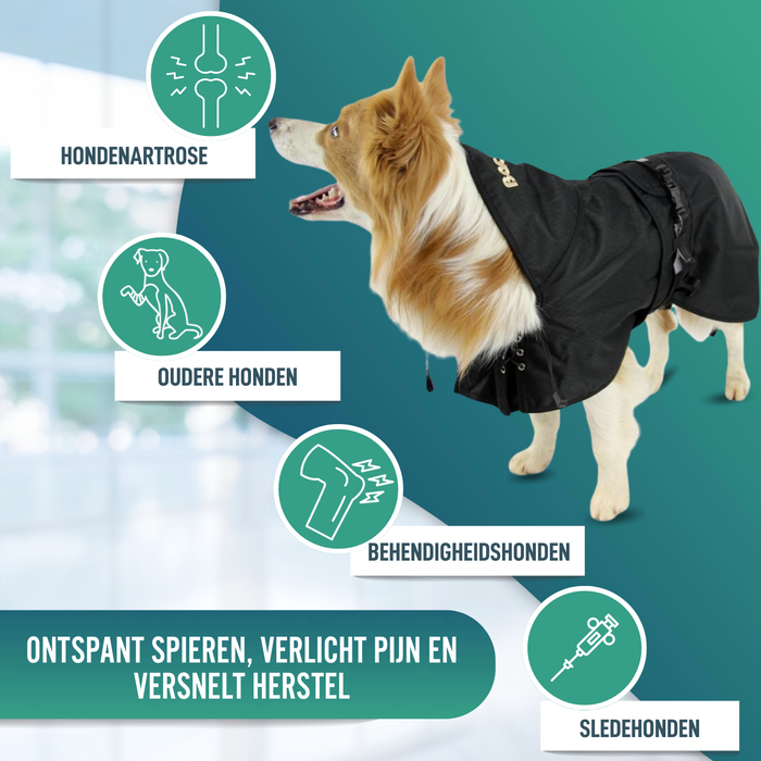 Waterdichte Thermojas voor Honden | Back on Track