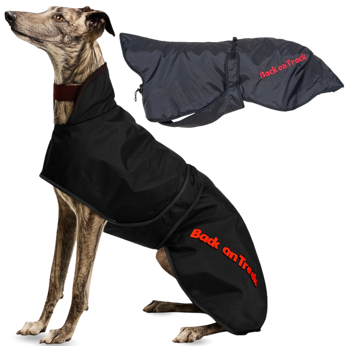 Waterdichte Thermische Jas voor Galgo | 2 Maten