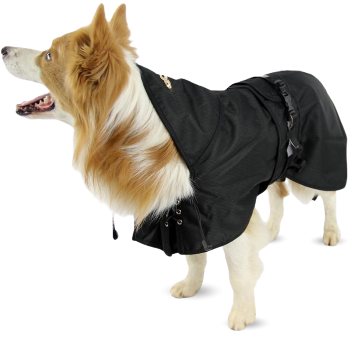 Waterdichte Thermojas voor Honden | Back on Track
