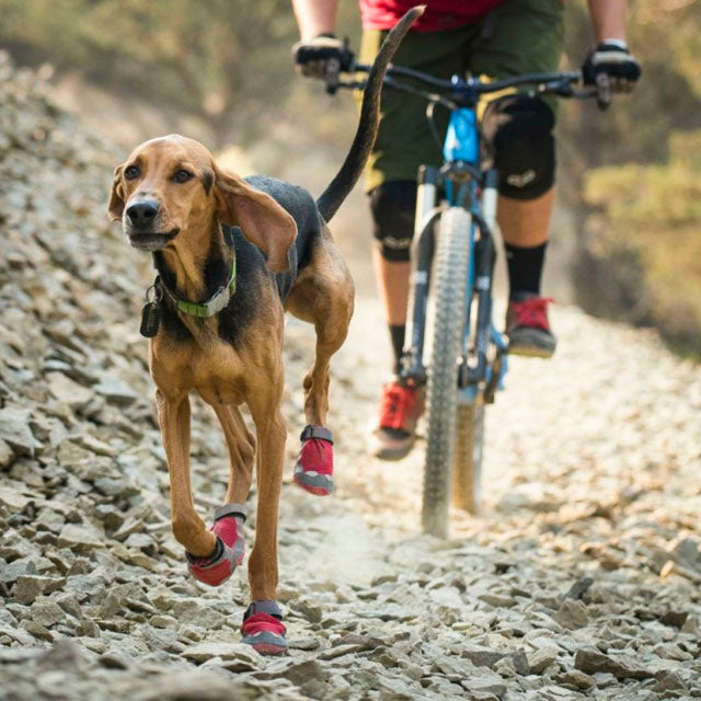 botas-perro-suela-ortoprime