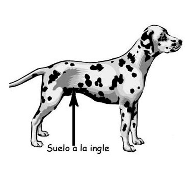 622240_6 622240_6