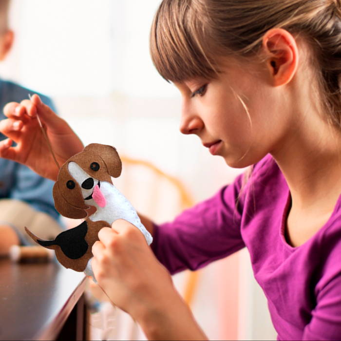 Naai-set voor Volwassenen en Kinderen, Knutselset